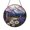 Acrylic 3.5 Inch, variant on Bright Meadow Wildflower Suncatcher Acrylic Hanging Plaque Gift Art