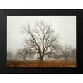 thumbnail image 2 of Van Swearingen, Debra 18x15 Black Modern Framed Museum Art Print Titled - Morning Calm I, 2 of 5