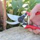 thumbnail image 2 of Resortes de podadora de voluta,Resorte de voluta de repuesto,Piezas de resorte de podadora de jardín de acero inoxidable,Resortes de repuesto Accesorios para herramientas de jardinería,5 piezas, 2 of 5