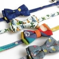 thumbnail image 3 of Yidarton New Pet Bow Cat Collar With Bell Cat Safety Button Rainbow Universe Series Ocean, 3 of 8