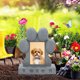 thumbnail image 5 of Lápida para mascotas, perros y gatos | Lápida de resina para jardín e interior | Adorno de homenaje y recuerdo de la pérdida de una mascota en beige o gris, 5 of 6