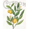 thumbnail image 2 of Classic Citrus V Poster Print by Sue Schlabach, 2 of 2