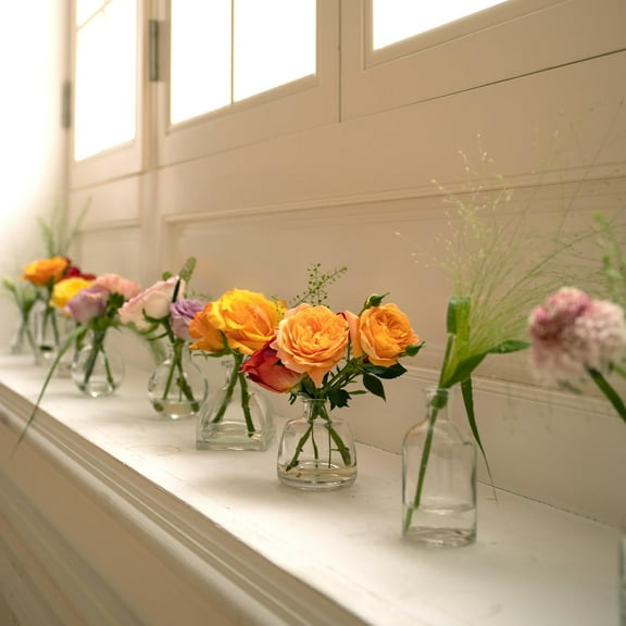 24 Pack Clear Glass Bud Vases Set - 12 Different Shapes Mini Vases for Centerpieces, Wedding Home Decor, Floral Arrangements, Rustic Table Decor
