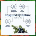 thumbnail image 5 of SVA Juniper Berry Essential Oil – 4 Fl Oz – 100% Natural Juniper Oil - for Diffuser, Hair Care, Face, Skin Care, Aromatherapy, Scalp and Body Massage, Soap and Candle Making – with Dropper, 5 of 9