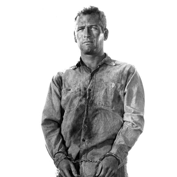 Cool Hand Luke Paul Newman 1967 Photo Print, 8 x 10