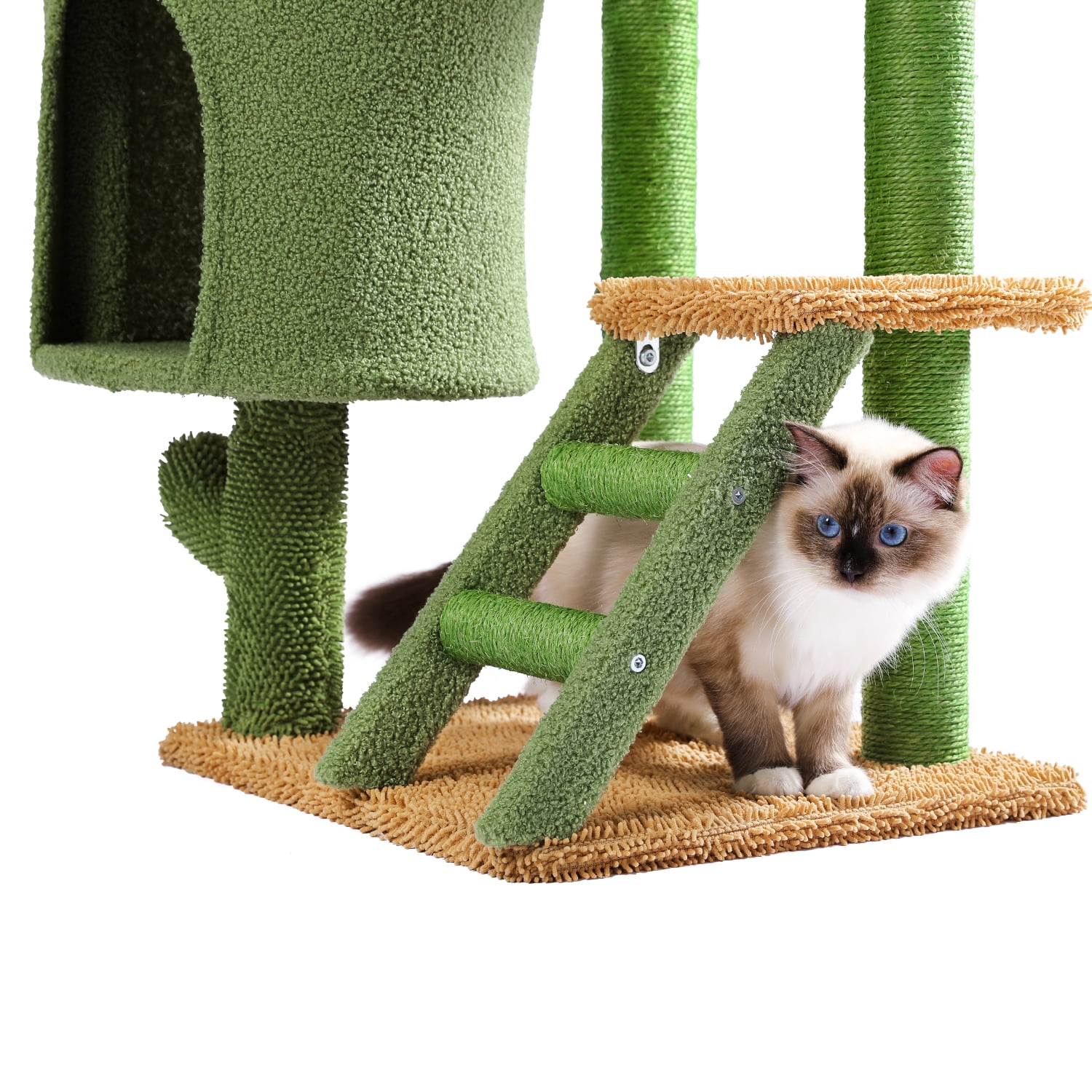 Pefilos Cat Tree 35 Inches Cactus Cat Tower with Sisal Covered Scratching Post, Cozy Condo, Cat Condo for Multiple Cats Plush Perches and Climbing Ladder for Indoor Cats, Green Pefilos Cat Tree 35 Inches Cactus Cat Tower with Sisal Covered Scratching Post, Cozy Condo, Cat Condo for Multiple Cats Plush Perches and Climbing Ladder for Indoor Cats, Green