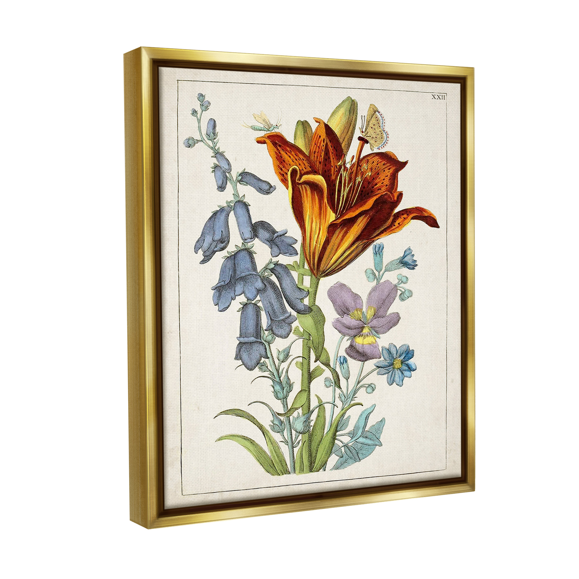 Stupell Industries Bugs & Vintage Flowers Botanical & Floral Painting Gold Floater Framed Canvas Art Print Wall Art, 25 x 31