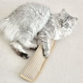 thumbnail image 6 of Cat Nail File Scraper and Teeth Cleaning Pad Interactive Grooming Toy for Indoor Cats Stress, 6 of 6