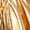 Gold, variant on iiniim Women Alien Cosplay Lapel V Neck Sleeveless A-line Hem Tulle Layers Metallic Dress with Hair Hoop for Role-playing Theme Party Stage Dance Silver XL