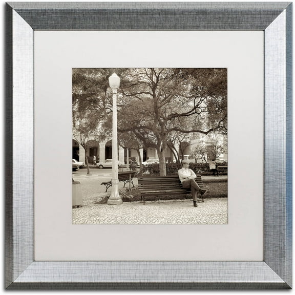 Trademark Fine Art "Faro I" Canvas Art by Alan Blaustein, White Matte, Silver Frame