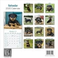 thumbnail image 3 of 2025 2026 Rottweiler Calendar - Dog Breed Monthly Wall Calendar - 12 x 24 Open - Thick No-Bleed Paper - Giftable - Academic Teacher's Planner Calendar Organizing & Planning - Made in USA, 3 of 7