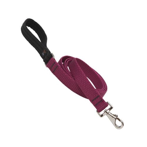 LUPINE INC 36959 1x6 Berry Dog Leash