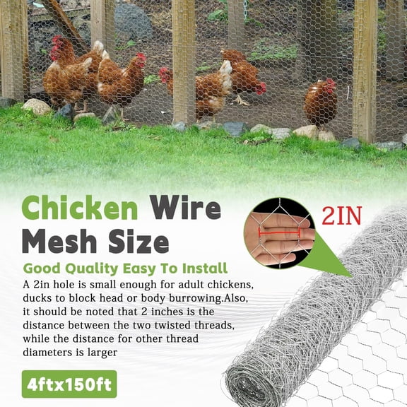 4FTx150FT Chicken Wire Netting 2IN Mesh Galvanized Wire Hexagonal Fencing for Poultry Garden Fence Barrier