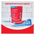 thumbnail image 4 of Colgate Max Fresh Wisp Disposable Mini Travel Toothbrushes, Peppermint, 24 Count (Pack of 4), 4 of 9