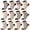 12 Black, variant on 12 Pack Women's Sheer Socks, Nylon Lace Mesh Ankle Socks with Reinforced Heel and Toe, See-Through Dress Socks for Women, Size5-9, Fancy Thin Socks Fits Narrow to Average Feet
