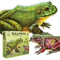 thumbnail image 1 of Casse-Tête de Sol Animal Grenouille, 1 of 4