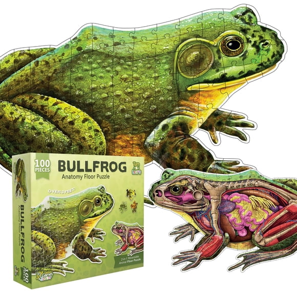 Casse-Tête de Sol Animal Grenouille