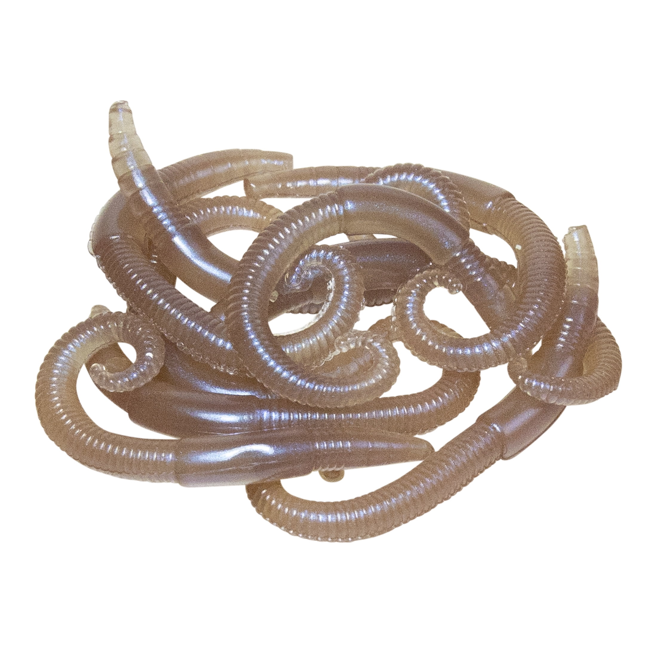 Lunkerhunt LHPFRW01 River Worm, 2", Dew Worm, 8Pk