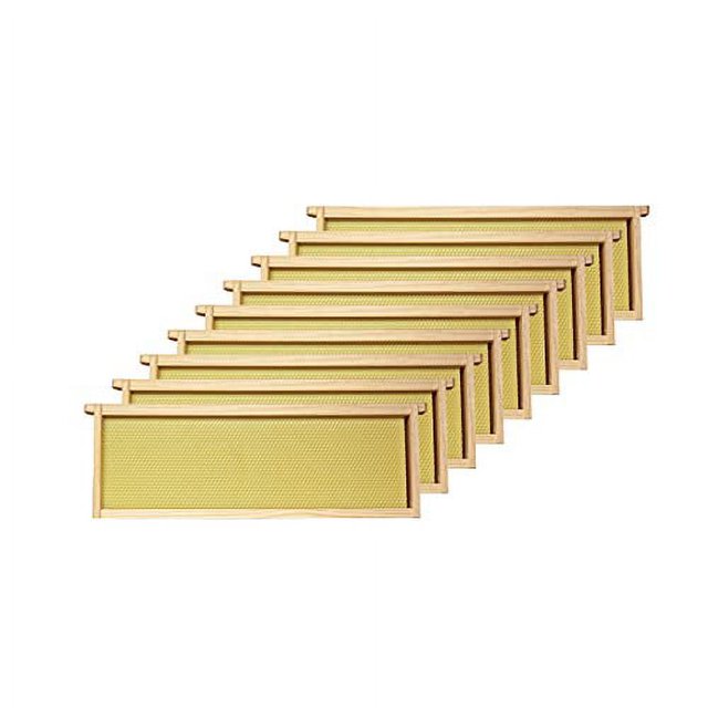 Mann Lake WW926 10-Pack Assembled Commercial Frames with Waxed Natural Rite-Cell Foundation, 6-1/4-Inch