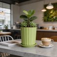 thumbnail image 7 of Diceymbol Tall Ribbed Planter with Saucer 11 Inch Green Flower Pot for Indoor Outdoor Patio Balcony Plants, 7 of 7