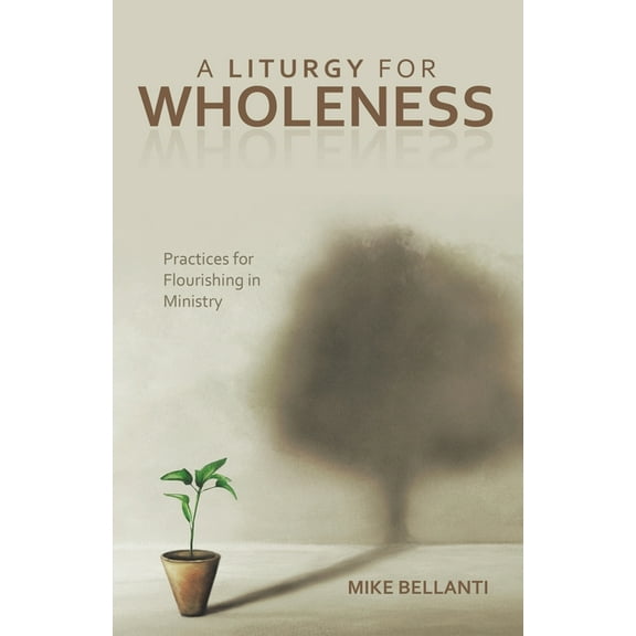 A Liturgy for Wholeness: Practices for Flourishing in Ministry, (Paperback)