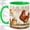 Green, variant on Farm Rooster Watercolor Coffee Mug, Chicken Rooster Mug, Rustic Kitchen Coffee, Wooden Fence with Poppies and Daisies, Brown Hen Garden Ceramic Cup Decor, Cottage Coop Art, Farmers