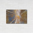 thumbnail image 3 of Luxe Metal Art 'Aspen II' by Lori Deiter, Metal Wall Art, 36"x24", 3 of 9