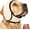 Gray, variant on Soft Adjustable Noise Canceling Dog Calming Ear Muffs Anti Shake Cover for Bath Grooming Thunder Fireworks Vacuum (Gray, L)