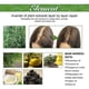 thumbnail image 5 of Aceite fortalecedor Sincero para el cuero cabelludo y el cabello con romero y menta 3 unidades biotina aceites esenciales tratamiento nutritivo, 5 of 5