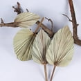 thumbnail image 2 of CreativeArrowy 1Pcs Dried Leaf Palm Fan Hanging Decoration For Arch Arrangement Reception Party Wall Wedding Artificial Leaves, 2 of 9