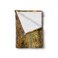 thumbnail image 2 of Safari Soft Flannel Fleece Throw Blanket, Tiger in the Forest Standing and Gazing at the Camera Beast Habitat Picture, Cozy Plush for Indoor and Outdoor Use, 50" x 60", Brown Orange, by Ambesonne, 2 of 6