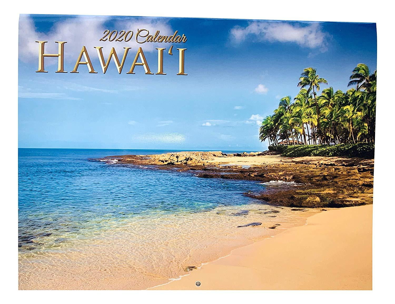 2020 Calendar Beautiful Women of Hawaii 16 months 