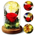 thumbnail image 1 of Lampe Rose Artificielle de Lumière de Fleur de Rose Éternelle avec la Barre de Lumière LED Fleurs Roses Rouges en Cadeaux de Verre pour les Filles de Femmes pour la Saint-Valentin de Jour de la Mère de Mariage, 1 of 9
