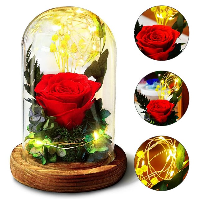 Lampe Rose Artificielle de Lumière de Fleur de Rose Éternelle avec la Barre de Lumière LED Fleurs Roses Rouges en Cadeaux de Verre pour les Filles de Femmes pour la Saint-Valentin de Jour de la Mère de Mariage