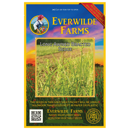 - Everwilde Farms - 500 Long Awned Bracted Sedge Native Grass Seeds - Gold Vault Jumbo Bulk Seed Packet