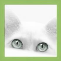 Great Art Now Diva by Jon Bertelli, Framed Wall Art, 14W x 14H