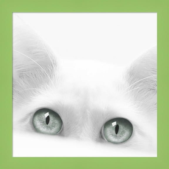 Great Art Now Diva by Jon Bertelli, Framed Wall Art, 14W x 14H