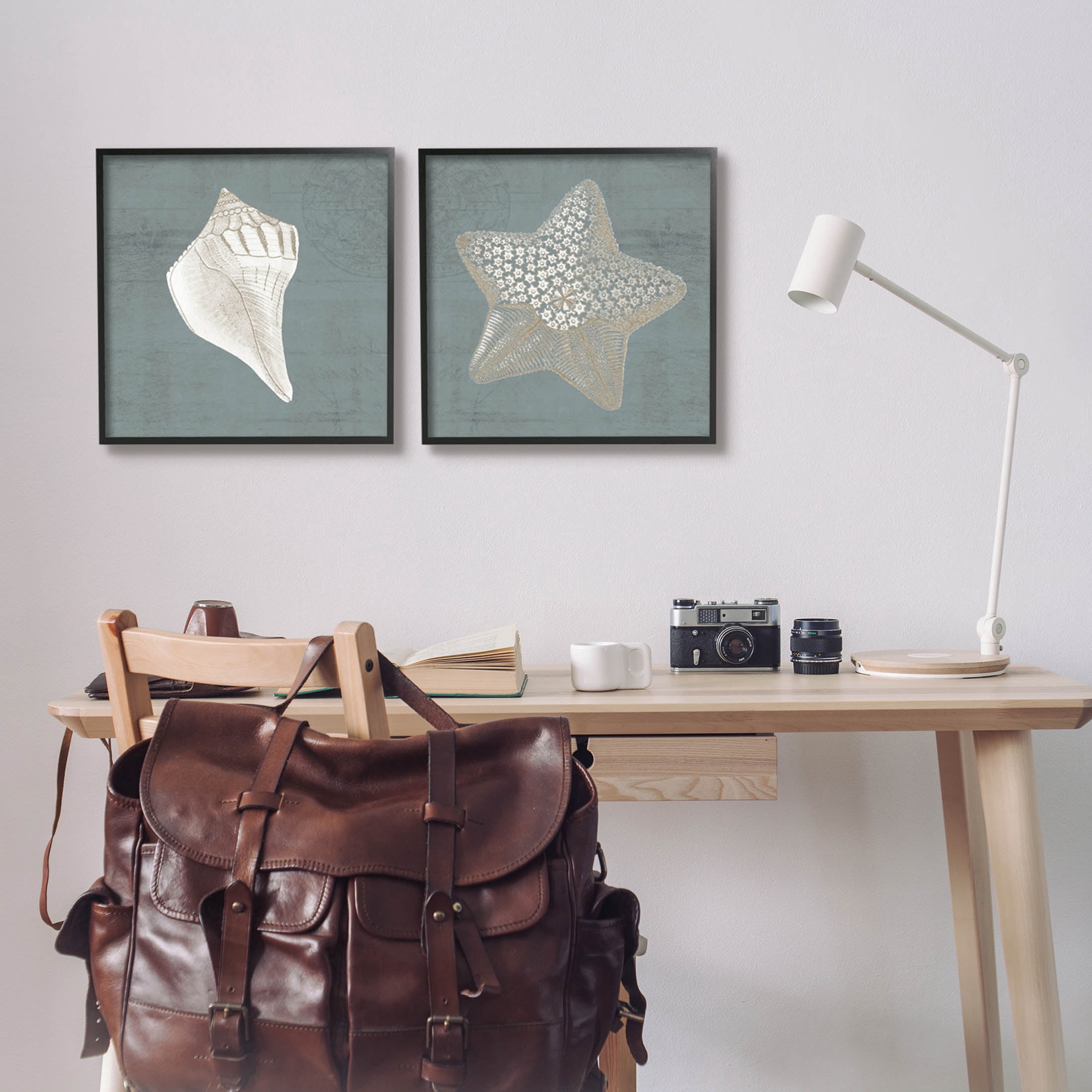 Sea Life Conch Starfish Nautical Animals & Insects Graphic Art Black Framed Art Print Wall Art, Set of 2