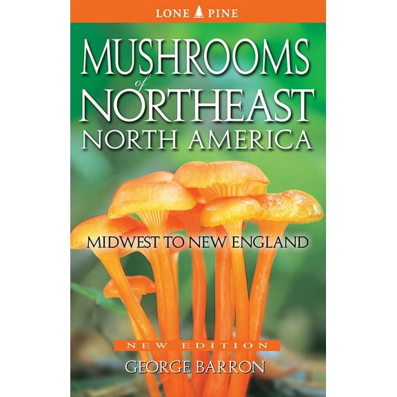 Mushrooms of Northeast North America: Midwest to New England, (Paperback)