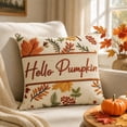 thumbnail image 2 of AuroraX Fall Pumpkin Throw Pillow Covers Thanksgiving Decorative Throw Pillowcase Rustic Farmhouse Outdoor Harvest Home Decor, 2 of 7