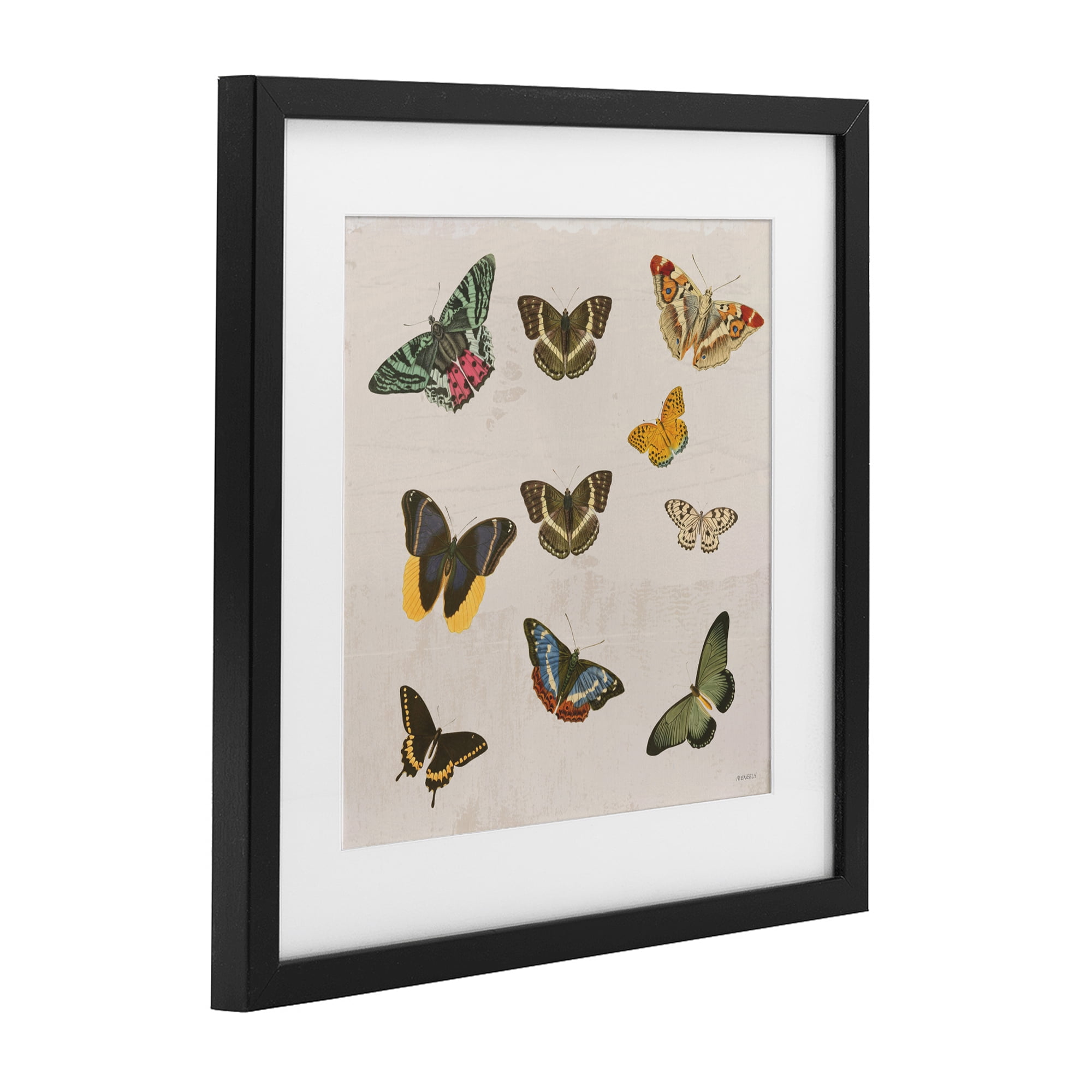 Stupell Industries Antique Butterfly Flight Black Framed Print Under Glass, design by Dan Meneely