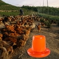 thumbnail image 6 of Chicken Feeder Poultry Feeder Multi Ports Bucket Easy Fill ABS Material for Goose Ducks Pigeon Coop, 6 of 9