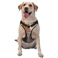 thumbnail image 1 of Fotbe Harnais pour Chien Motif Souris dans des Lunettes, Harnais pour Animaux Anti-Traction avec 2 Clips de Laisse, Gilet pour Chien Rembourré Réglable avec Poignée de Contrôle Facile pour Grands Chiens-Petit, 1 of 6