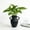 A, variant on Elainilye Decorative Vase Plastic Planter for Artificial Dried Flowers and Plants Home Tabletop Decor Office Desk Shelf Display