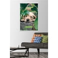 thumbnail image 2 of Keith Kimberlin - Puppy - Lazy Days Wall Poster with Wooden Magnetic Frame, 22.375" x 34", 2 of 3