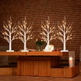 thumbnail image 2 of Adornos navideños EAMBRITE iluminados en forma de abedul blanco de 2 pies, 2 of 7