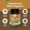 thumbnail image 3 of Nature’s Craft Advanced Lion’s Mane Mushroom Supplement for Brain Health, 120 Capsules, 3 of 8