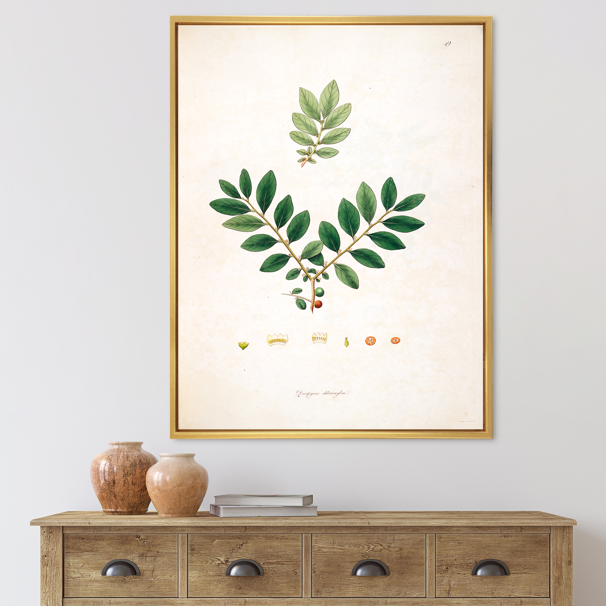 Designart 'Ancient Plant Life XIV' Farmhouse Framed Canvas Wall Art Print