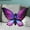 Purple, variant on PATLOLLAV Butterfly Throw Pillow,3D Butterfly Pillow,Butterfly Stuffed Animal Decorative Butterfly Throw Pillow,Butterfly Plush Decor for Bedroom Couch Farmhouse Seat Cushion,19.7x 15.7 Inch