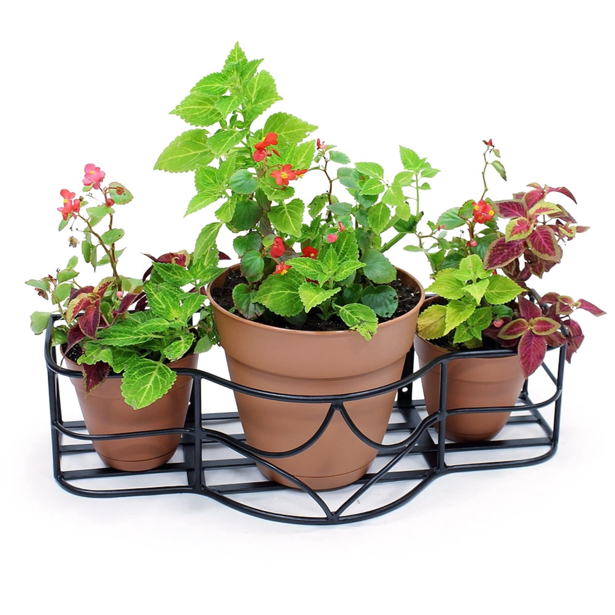 Achla Designs Argyle Window Box , 30 Inch Wide, Black Powder Coat Finish